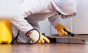 Best Pest Control for Multi-Family Homes  in Ludington, MI